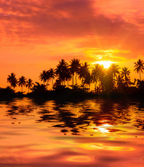 Tropical palm trees silhouettes with reflection in water at sunrise