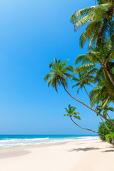 Tropical beach with palm trees on ocean shore and clean sand at sunny day