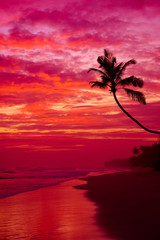 Beautiful colored warm tropical sunset beach with palm tree silhouette over the water