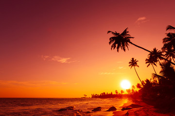 Sunset on tropical beach with palm trees silhouettes and shining sun circle - obrazy, fototapety, plakaty