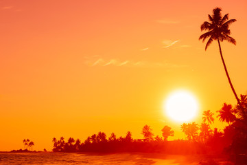 Sunset on tropical beach with palm tree silhouette and shining sun circle