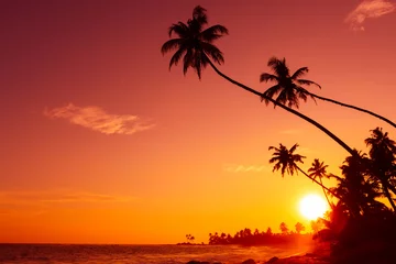 Wallpaper murals Beach and sea Sunset on tropical beach with palm trees silhouettes and shining sun circle