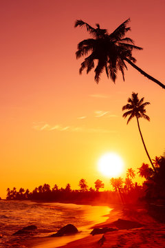 Warm sunset on tropical ocean beach