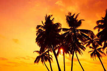 Naklejka na ściany i meble Tropical palm silhouettes on ocean beach at vivid sunset time