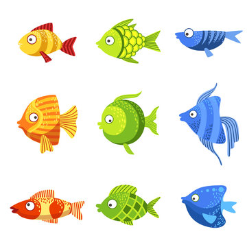 Colorful Fish Set