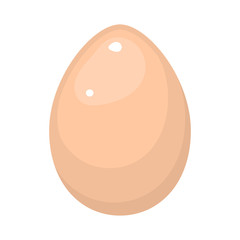 Egg vector colorful icon