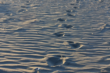 Steps in beach sand in warm evening light.