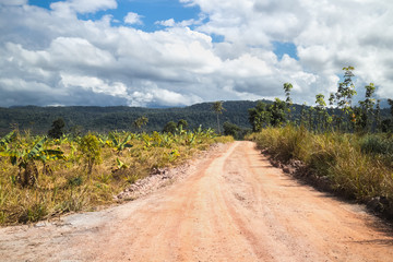 Rural tropical road