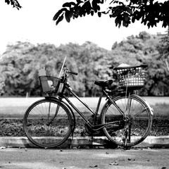 Old bicycle in park, Black and white photography - 112377869