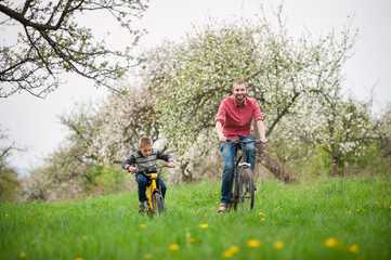 Happy father and son ride bicycles against the background of blooming trees and fresh greenery. Boys having fun in the spring garden