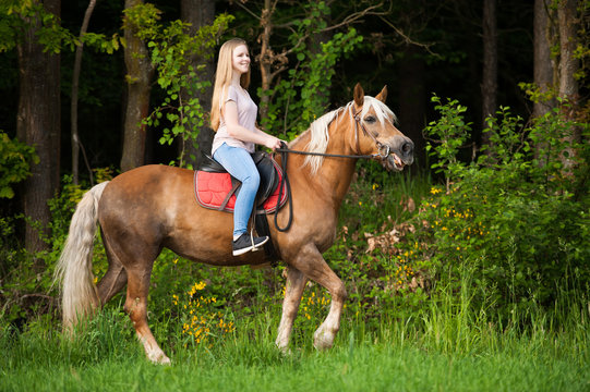 Reiter Rampin Reiterin Images – Browse 5,931 Stock Photos, Vectors, and Video | Adobe ...