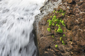 Close up of waterfall - 112379811