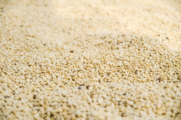 coffee beans background