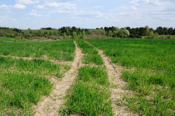 Fototapeta na wymiar technological track on the agricultural field