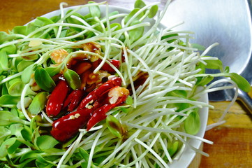raw sunflower sprout and iron flipper prepare to cook