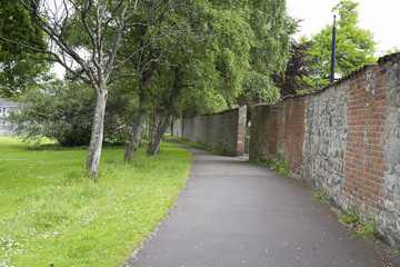 Fototapeta na wymiar Tree lined pathway
