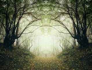 Gordijnen surreal forest path © andreiuc88