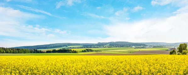 Papier Peint photo Lavable Campagne panorama du champ de canola jaune