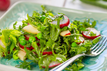 Beautiful Healthy Paleo Green Salad with Green Peas and Radish.