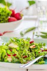 Beautiful Healthy Paleo Green Salad with Green Peas and Radish