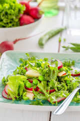 Beautiful Healthy Paleo Green Salad with Green Peas and Radish