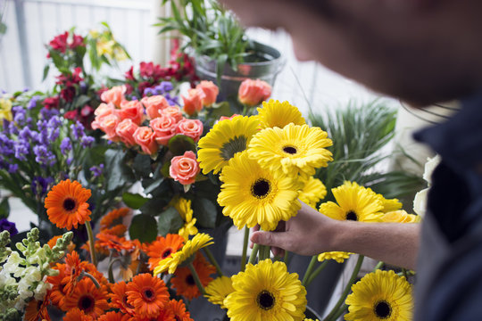 Male florist working in a flower shop