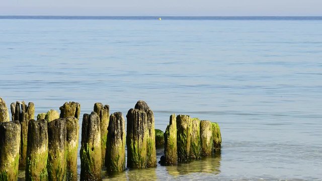 Buhnen am Ostseestrand