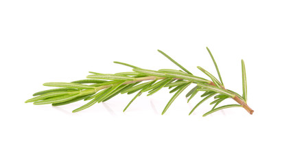 rosemary isolated on white background
