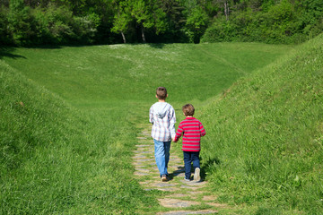 Fototapeta premium Rear View Of Two Little Boys Holding Hands And Walking Through The Green Field Towards The Forest