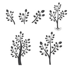 Vector bare tree silhouettes with roots