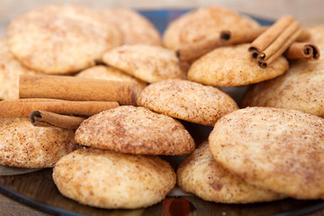 Snickerdoodle cookies with cinnamon