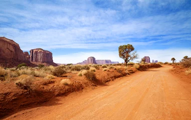 Papier Peint photo autocollant Sécheresse chemin de terre rouge dans un paysage désertique rocheux