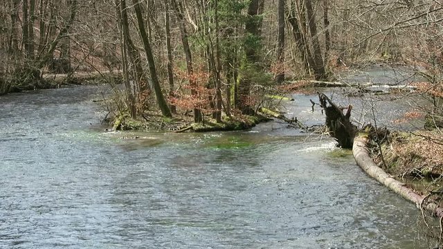 Wuerm river landscape in springtime. flowing stream water. located next to Starnberg, Bavaria (Germany)