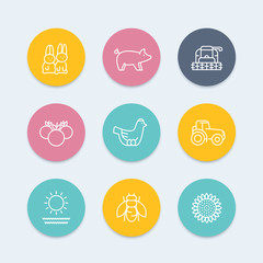 Farm, ranch line icons, harvester, hen, pig, crop, vegetables, color icons set, vector illustration