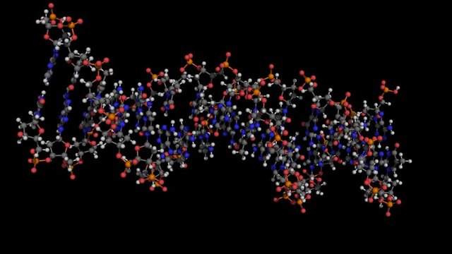 dna molecule ball and stick model rotating about x axis seamless loopable 4K UHD