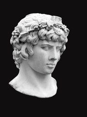 The head of Antinous in the guise of Bacchus on a black background. Marble bust of the Greek youth in the Private Garden of Pavlovsk 