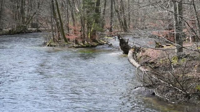 Wuerm river landscape in springtime. flowing stream water. located next to Starnberg, Bavaria (Germany)