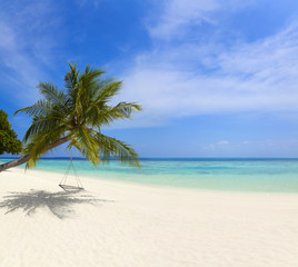 Fototapeta na wymiar Malediveninsel mit Palmenstrand