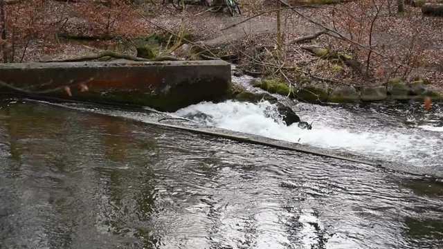 Wuerm river landscape in springtime. flowing stream water. located next to Starnberg, Bavaria (Germany)