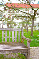 Old bench in the spring garden.