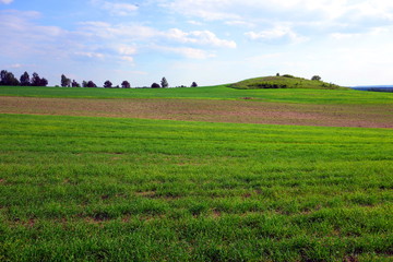 Fototapeta na wymiar calm agricultural scene with green field and small hill