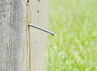 nail on the wood fence