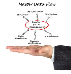 Diagram of Master Data Flow