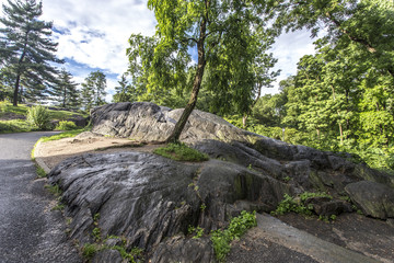 Central Park - New York, America