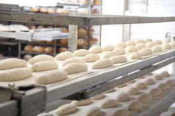 Fototapeta na wymiar Tradycyjny wypiek chleba w piekarni 