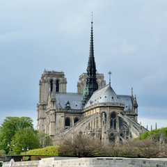 Fototapeta na wymiar La cathédrale Notre-Dame de Paris sur l'île de la cité en format carte postale