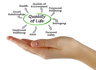 Diagram of Quality of Life