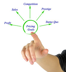 Diagram of Pricing Goals