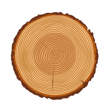 Tree rings, tree trunk rings isolated, wood ring texture, tree rings vector illustration, wooden rings icon with splits and cracks, cracked rings of a tree design