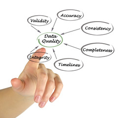 Diagram of Data Quality